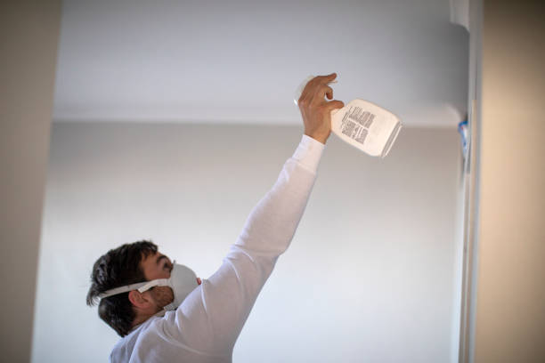 Best Mold Removal Process  in Sewalls Point, FL