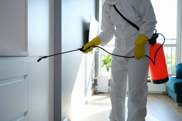 Best Toxic Mold Removal  in Sewalls Point, FL
